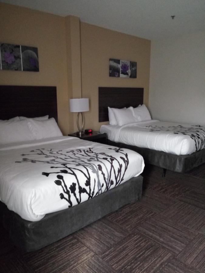 ויסקונסין ראפידס Sleep Inn & Suites מראה חיצוני תמונה