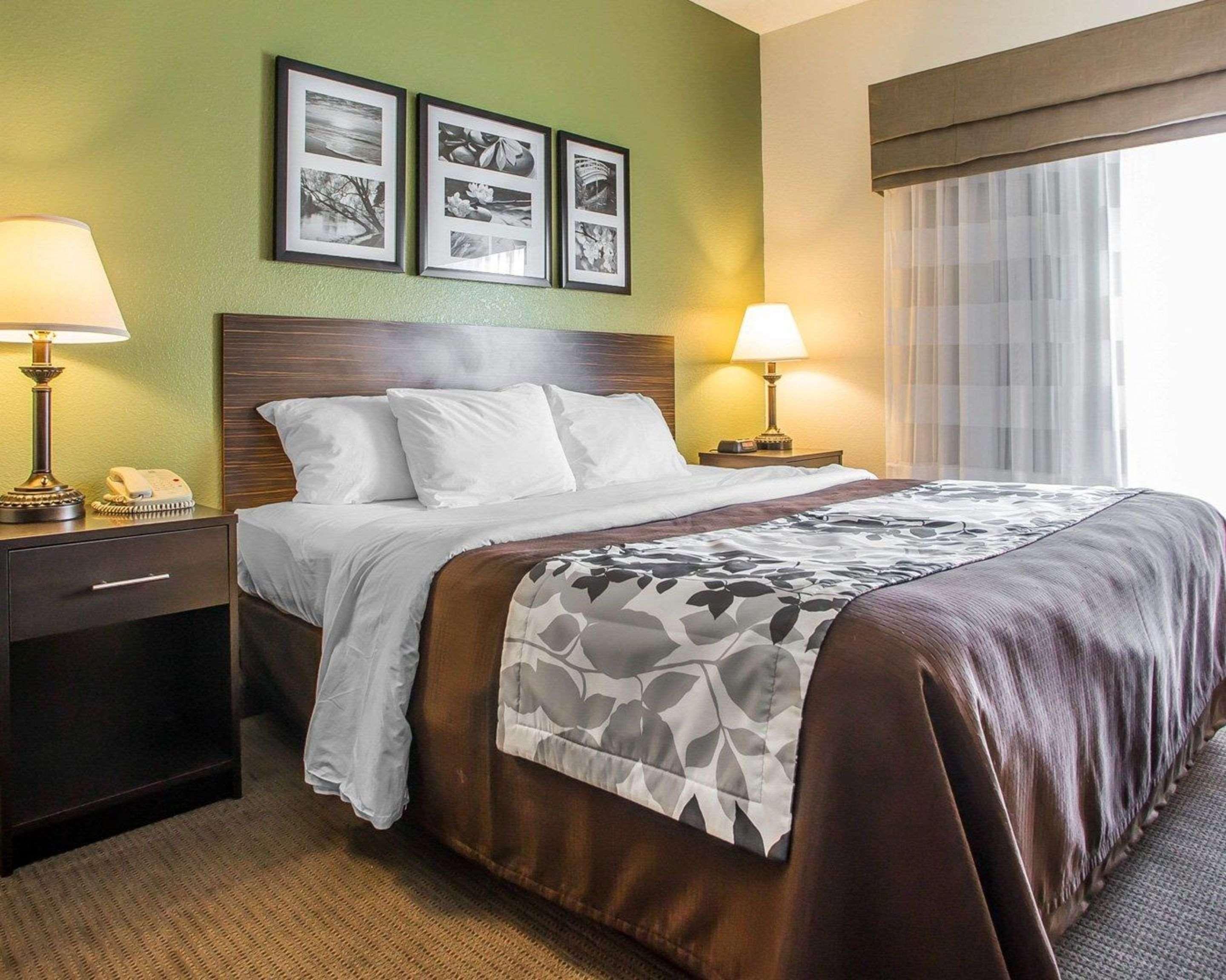 ויסקונסין ראפידס Sleep Inn & Suites מראה חיצוני תמונה