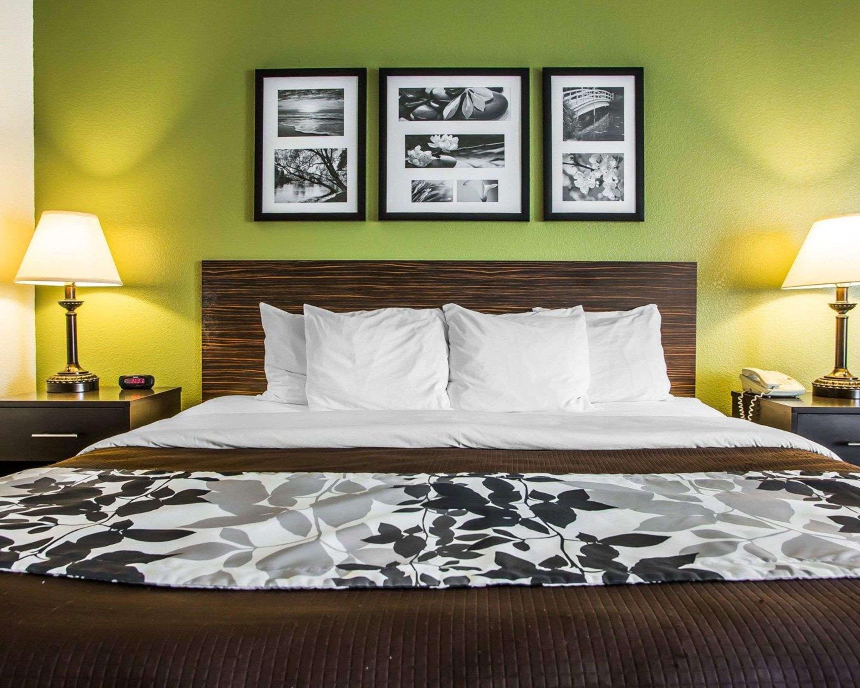 ויסקונסין ראפידס Sleep Inn & Suites מראה חיצוני תמונה