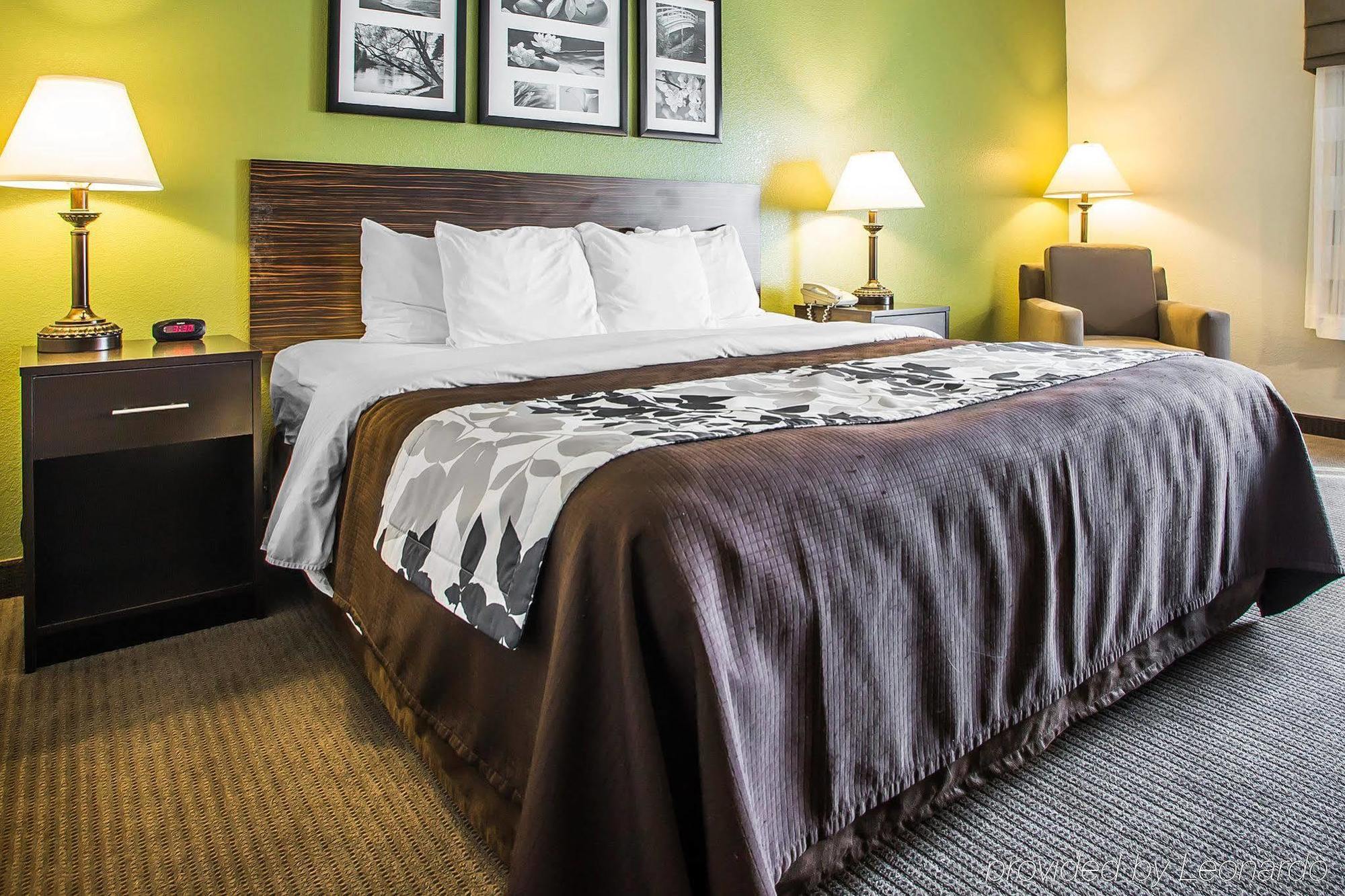 ויסקונסין ראפידס Sleep Inn & Suites מראה חיצוני תמונה