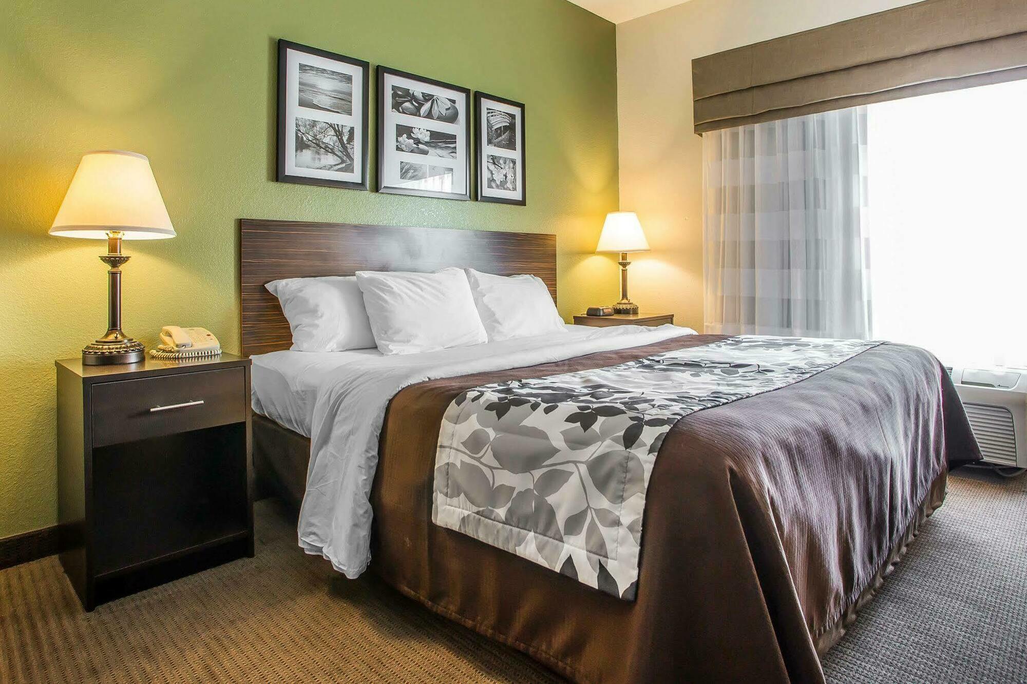 ויסקונסין ראפידס Sleep Inn & Suites מראה חיצוני תמונה